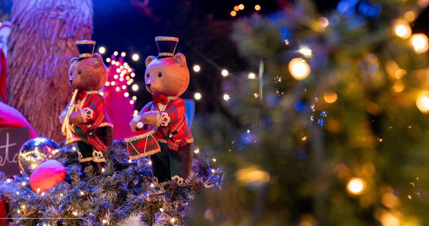 Luzes de Natal já brilham na Calheta (com fotos e vídeo)