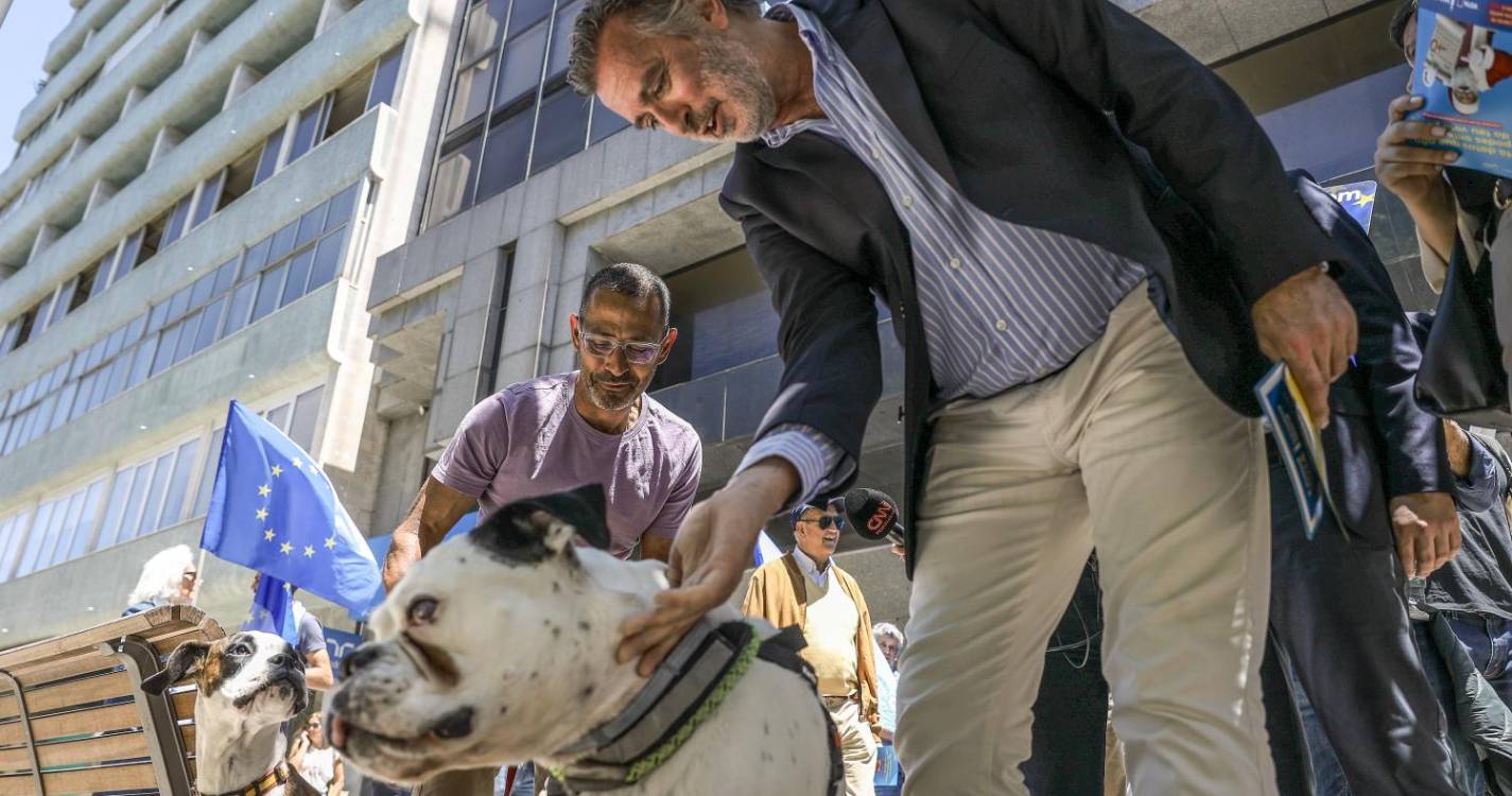 Europeias: IL quer eleger um eurodeputado e aponta abstenção como “grande adversário”