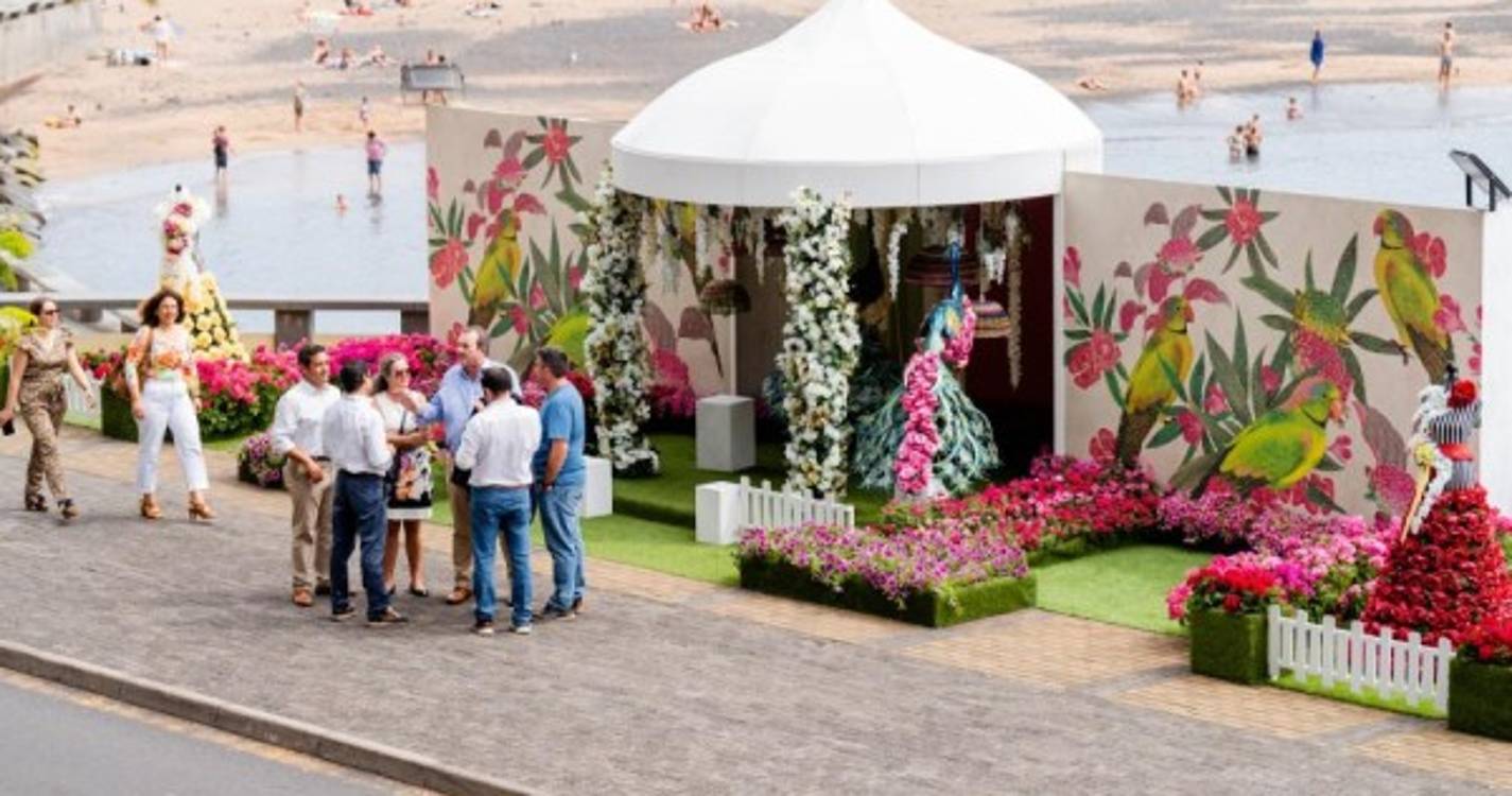 Crianças edificaram ‘Mural da Esperança’ na Calheta que está engalanada a preceito. Veja as imagens