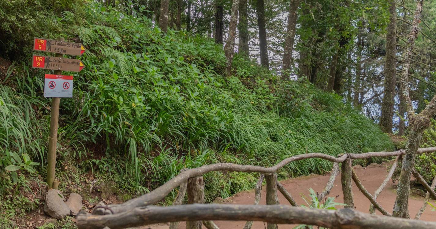 Vários percursos pedestres recomendados estão ainda encerrados