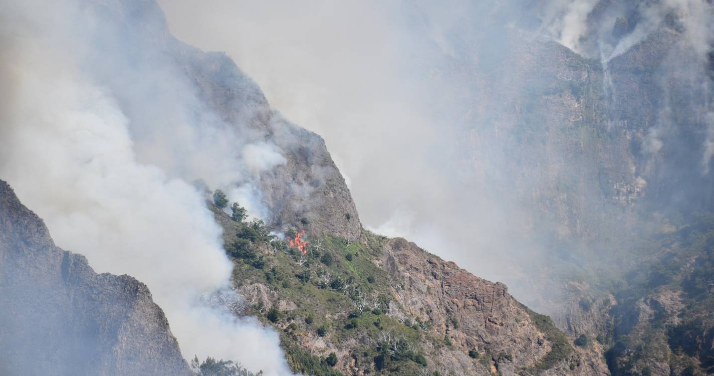 Fogo em mato levou 27 operacionais ao Curral das Freiras