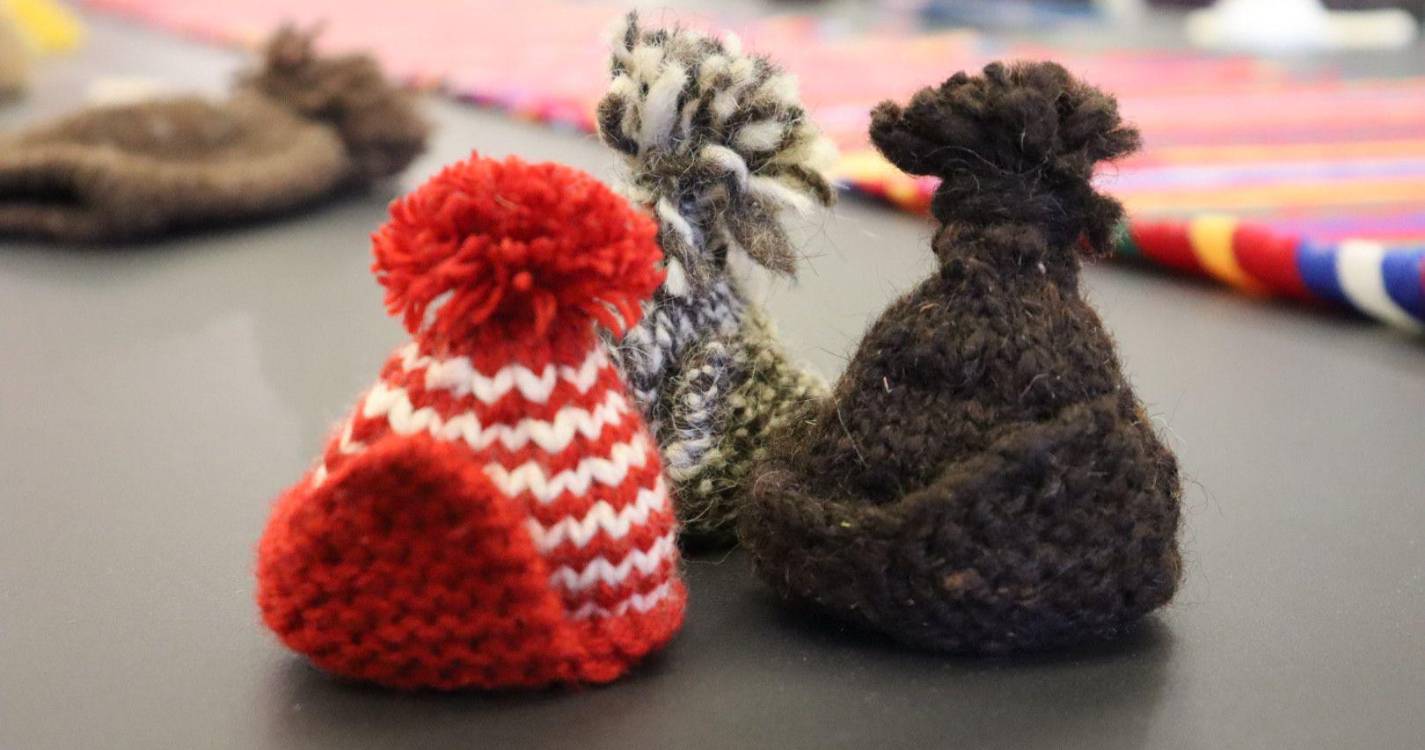 IVBAM dinamiza no mês de junho oficinas de artesanato