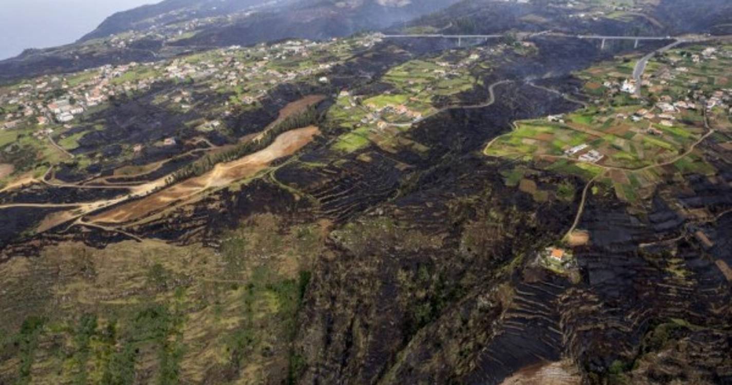 Imagens de drone mostram destruição da Calheta até ao Porto Moniz