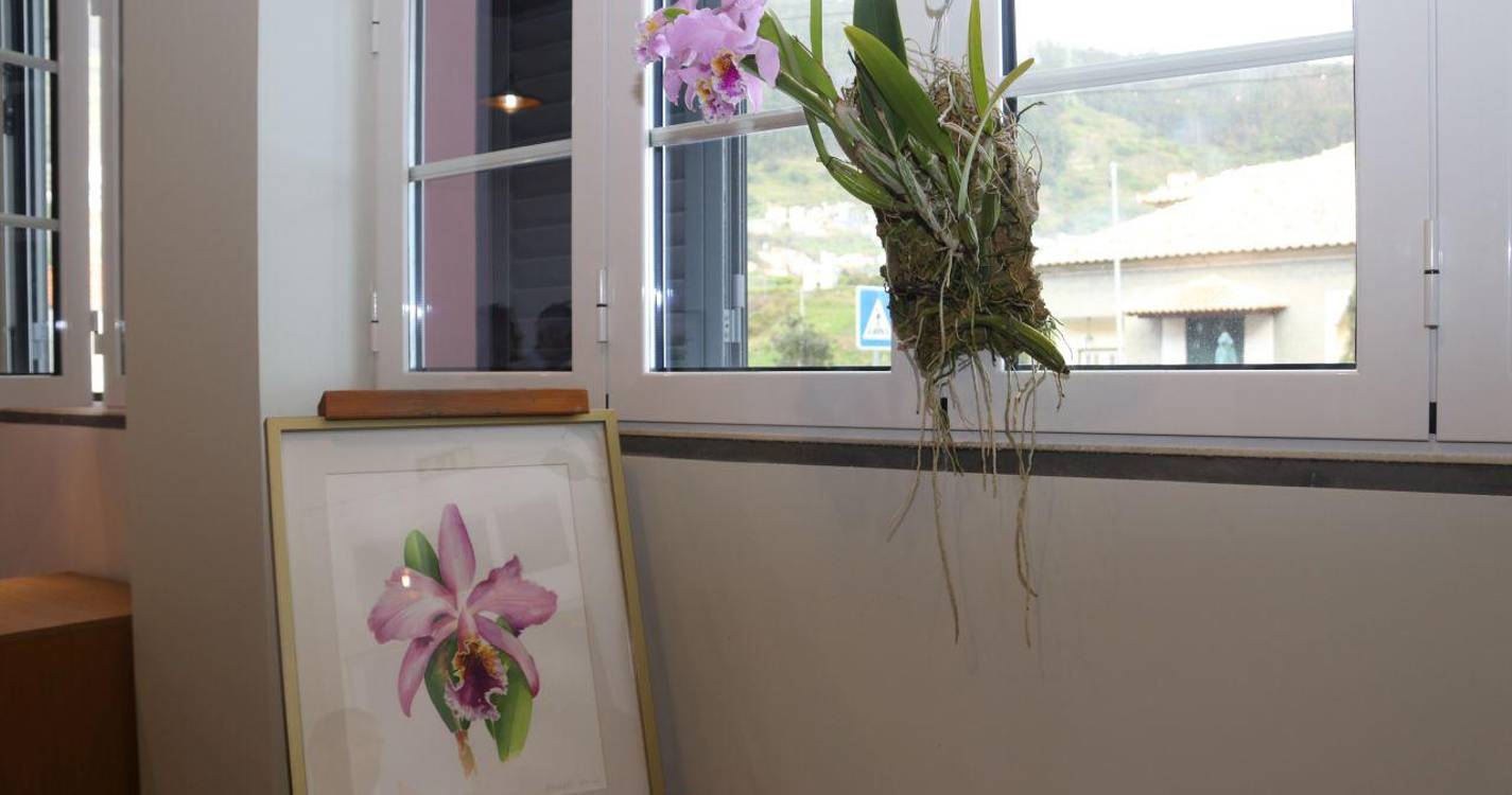 Elisabete Henriques expõe ‘Ilustração Botânica’ no Campanário