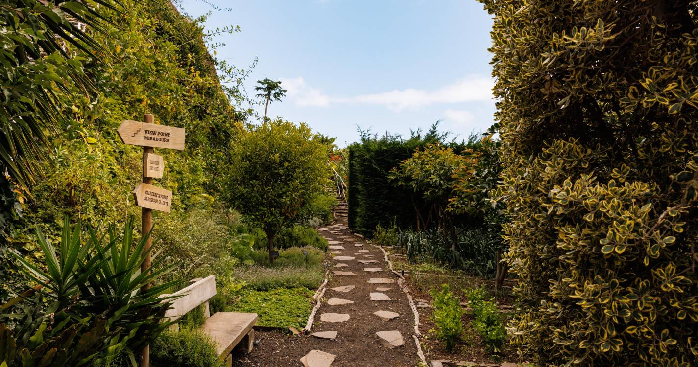 Savoy Signature reforça estratégia de sustentabilidade sob o mote ‘Hosting the Future Together’