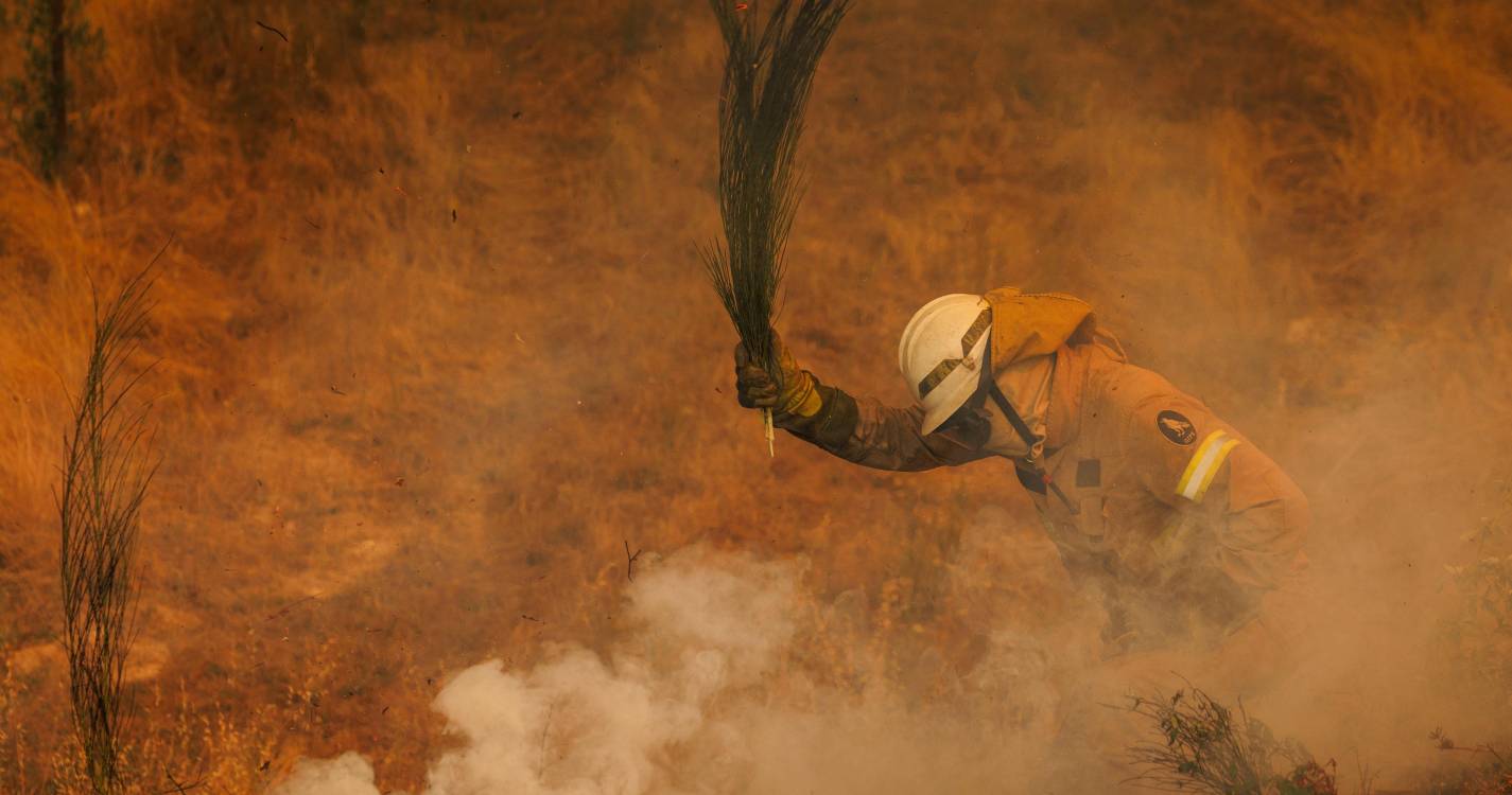 Incêndios: Proteção Civil de Castelo Branco disponibiliza apoio psicossocial