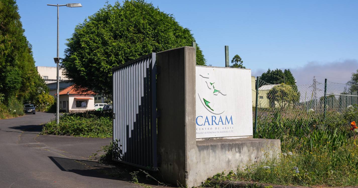 Greve no Centro de Abate da Madeira termina hoje com adesão diferente para sindicato e empresa