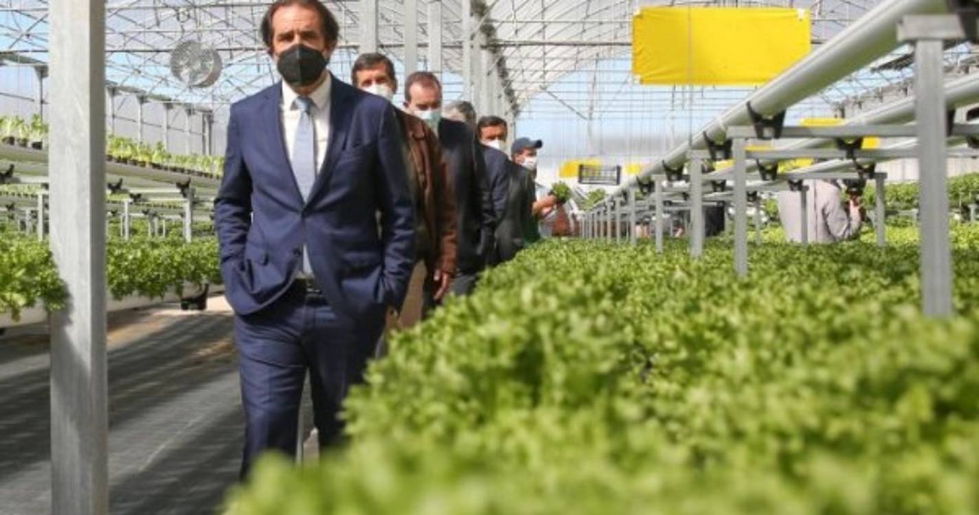 Madeira espera vacinar 70% da população até setembro