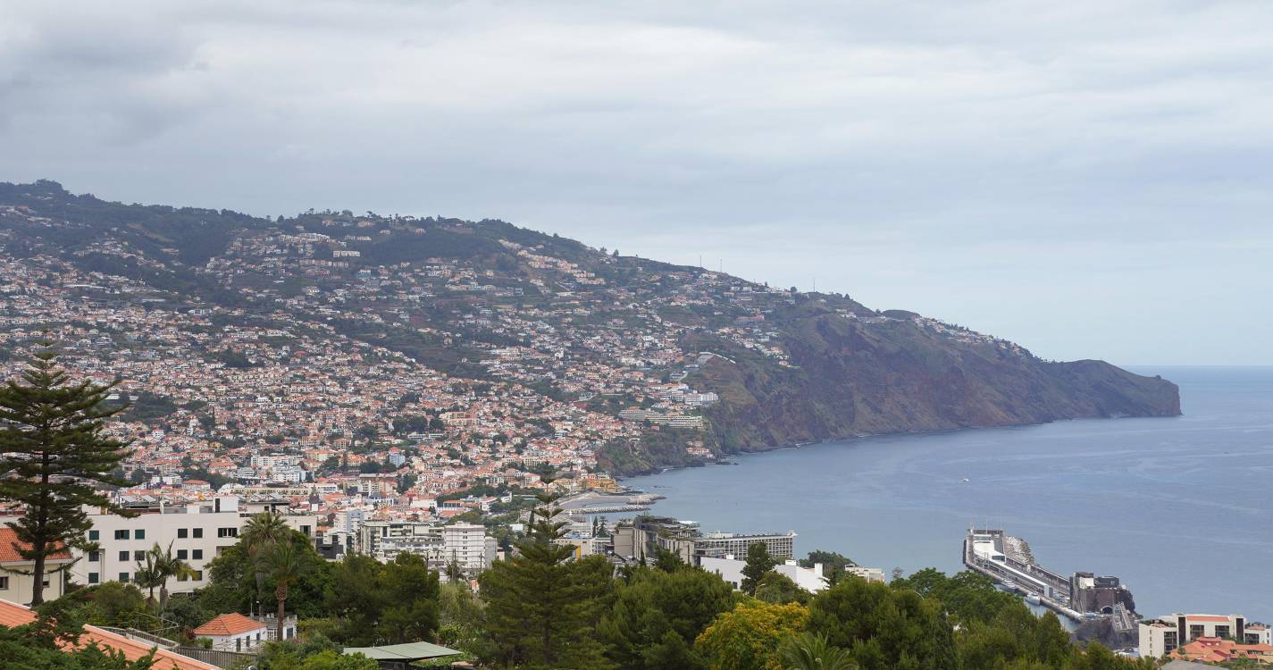 APPNE apela à contratação de pessoas com deficiência