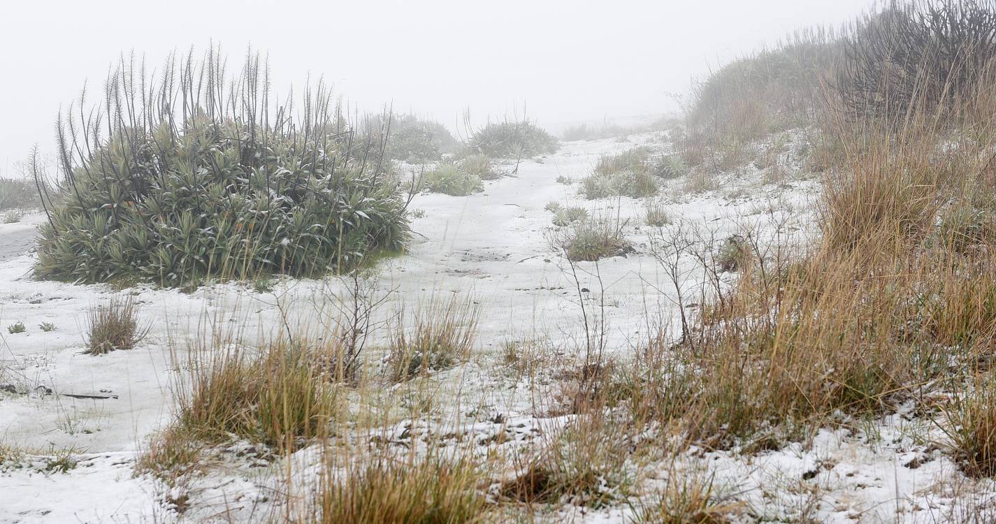 Queda de granizo e neve encerra estradas e percursos pedestres na Madeira