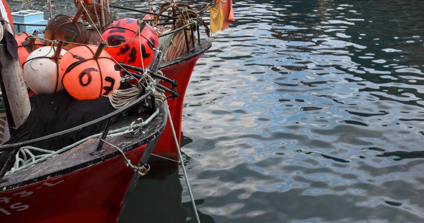 ORAM24: Governo mantém apoios diretos no setor das Pescas e aposta na modernização agrícola