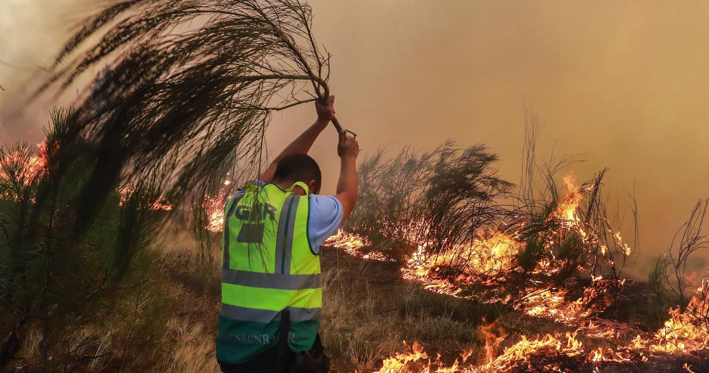 Incêndios: Quase 60.000 hectares de área ardida este ano e 15.000 hectares desde domingo