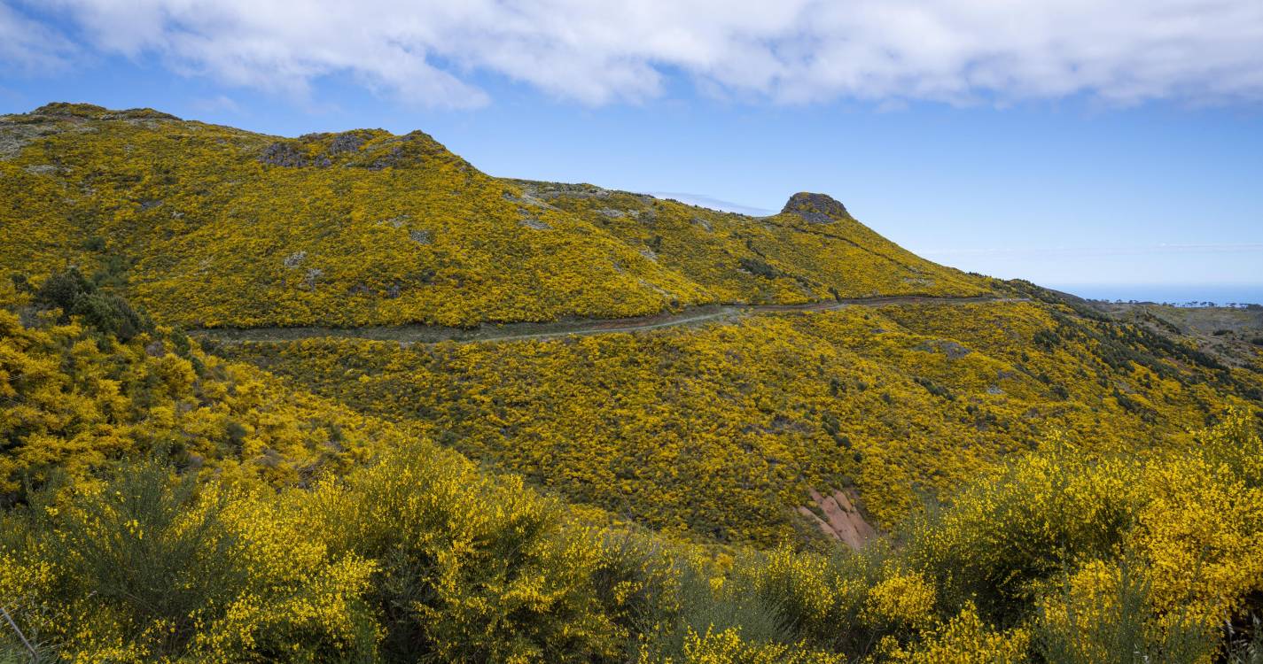 Céu nublado e aguaceiros fracos nas terras altas