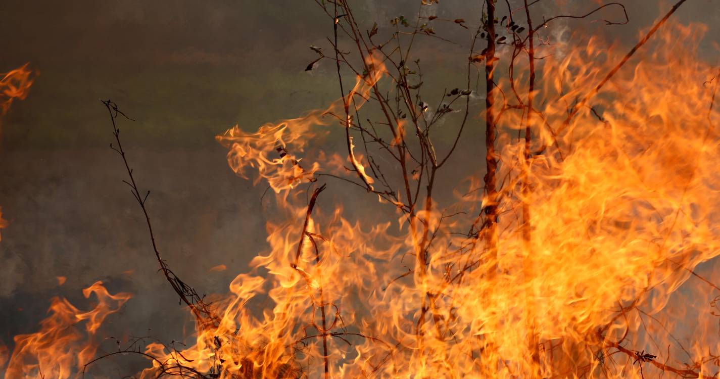 Incêndio em mato mobiliza bombeiros de Câmara de Lobos