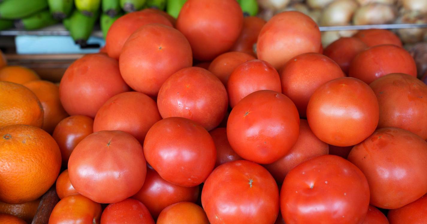 Portugal foi o terceiro maior produtor de tomate da UE em 2024