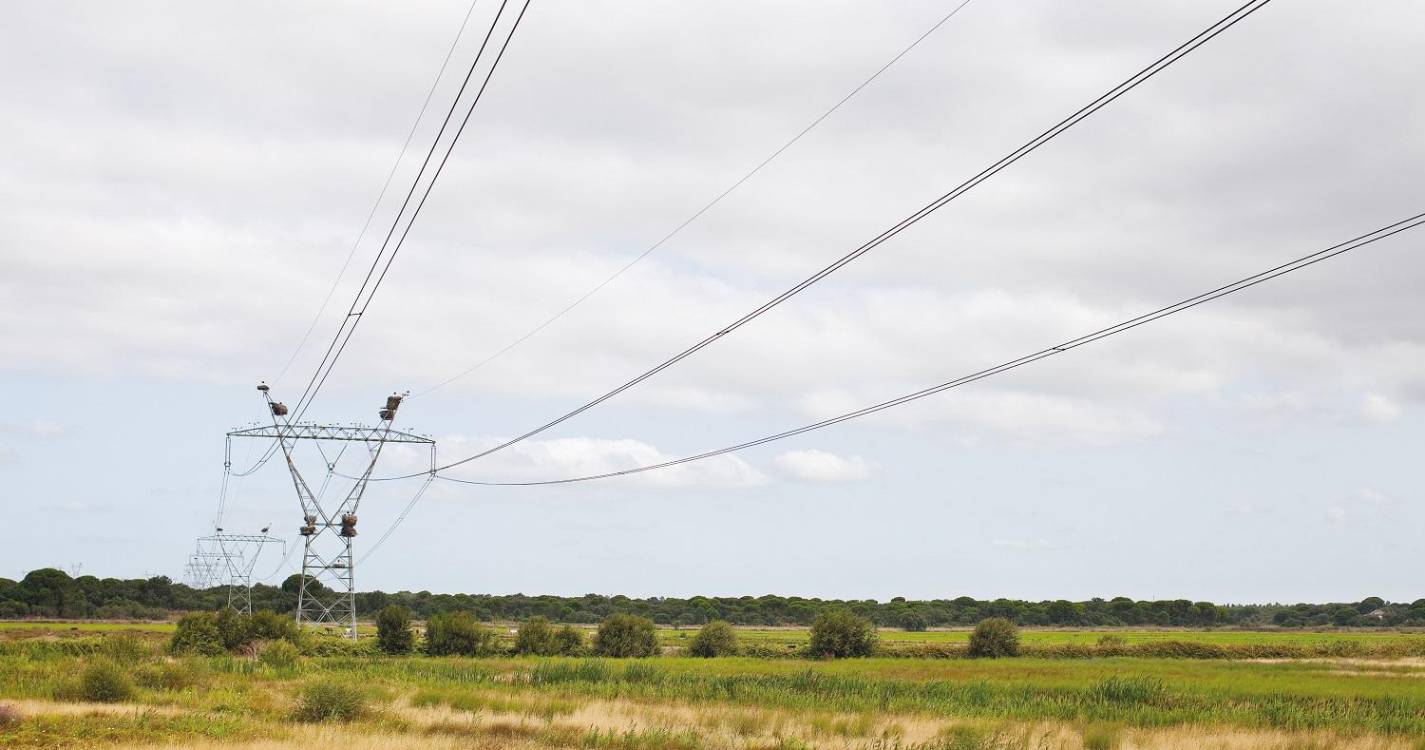 Normalização total da rede elétrica pode demorar “até uma semana”