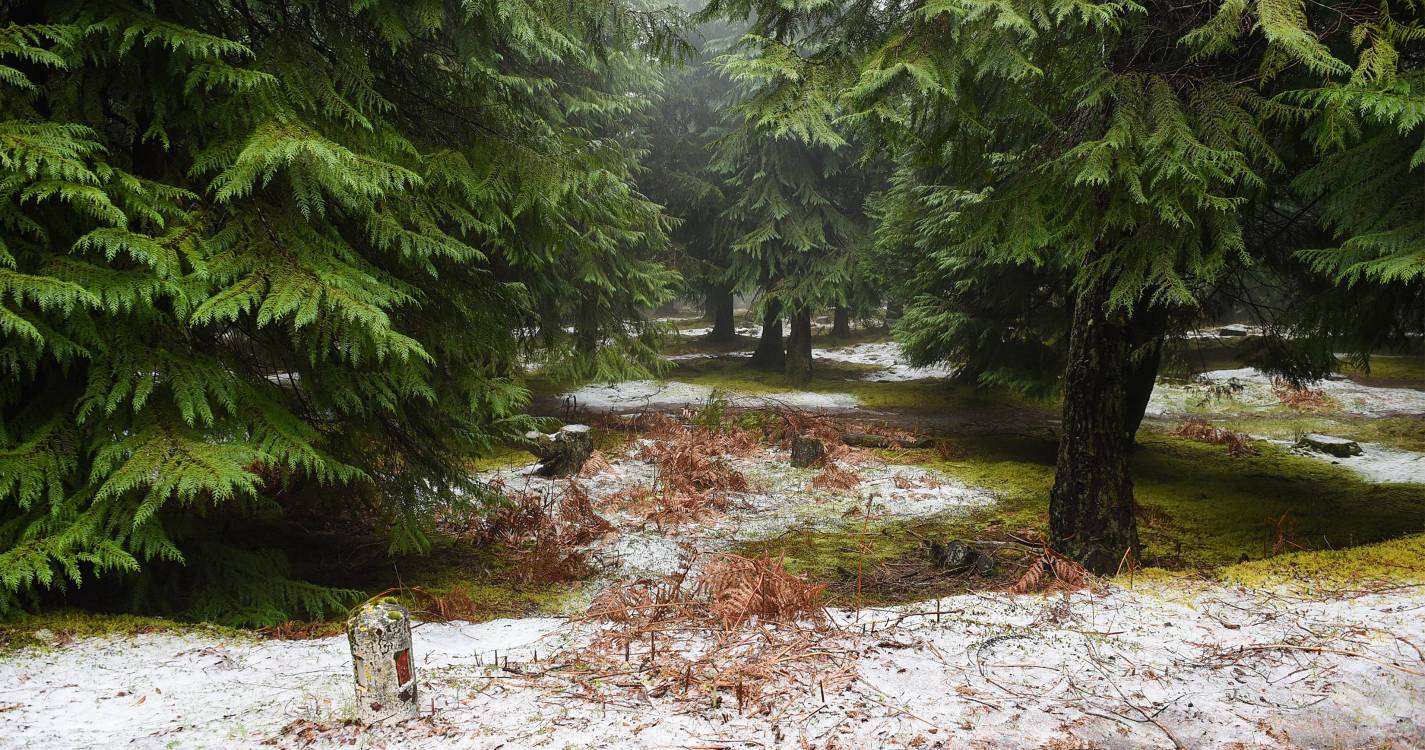 Poderá nevar nos pontos mais altos da Madeira