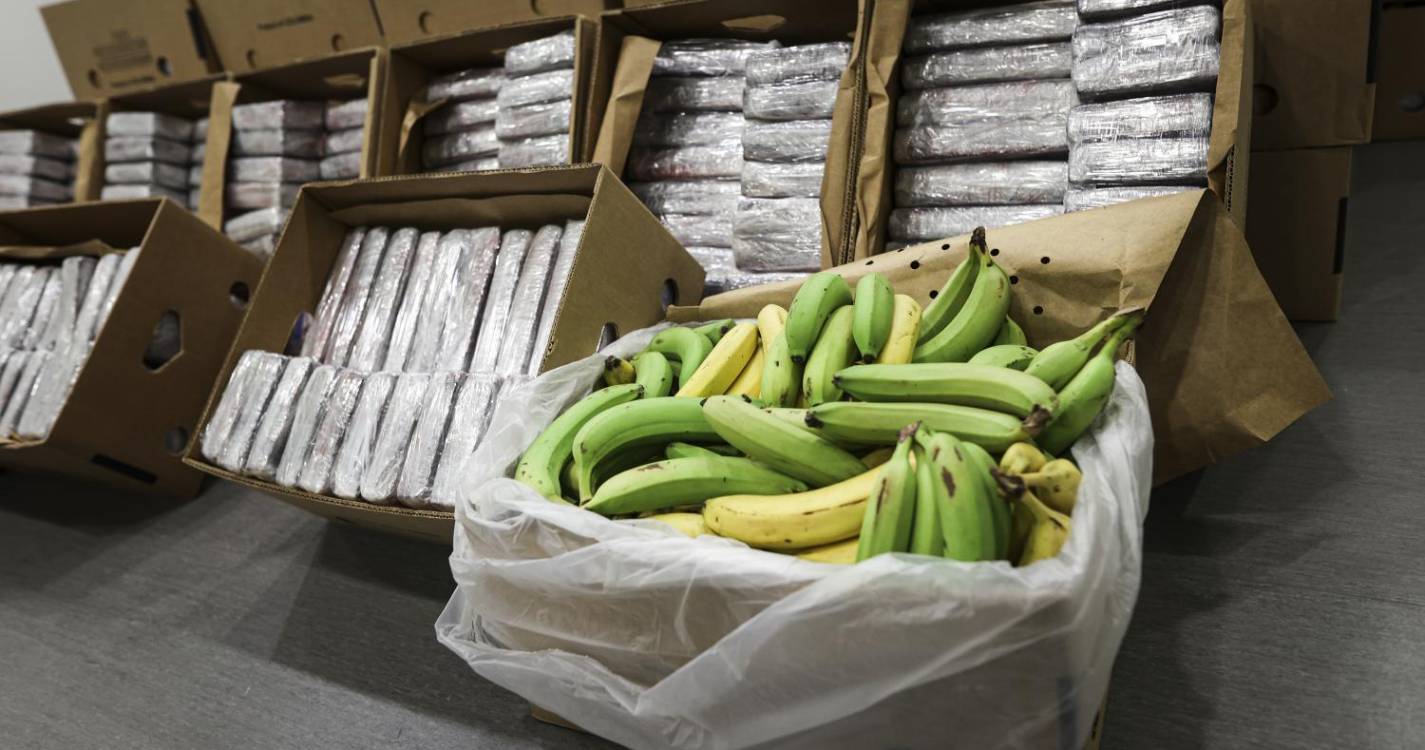 PJ apreende em Setúbal 800 quilos de cocaína dissimulados em caixas de banana