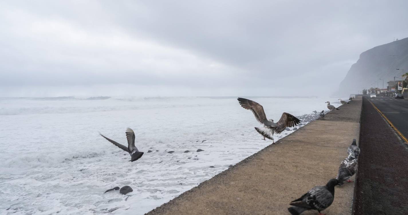 Mar agitado na costa norte e Porto Santo