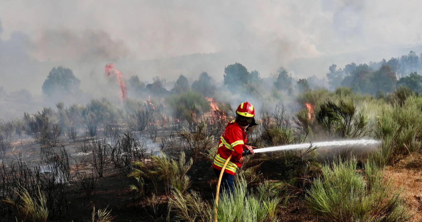 Incêndios: Fogo que lavra em Penamacor obriga a retirar pessoas de casas isoladas