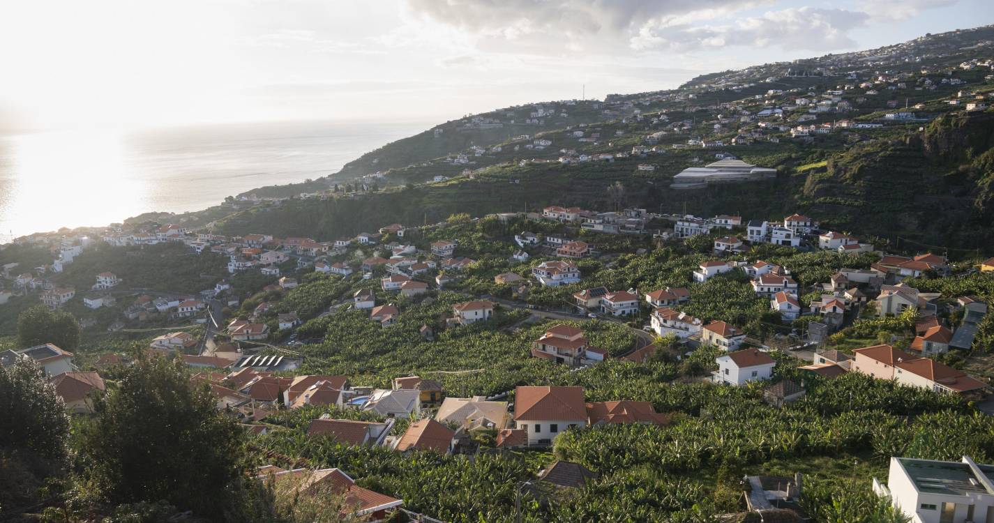 Procura por terrenos cresce e preços por metro quadrado aumentam 15% na Madeira
