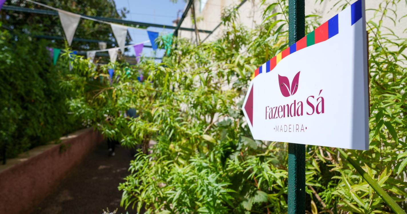 ‘Perdidos e Achados’: Fazenda plantada na urbe regada pela paixão por café (com fotos)