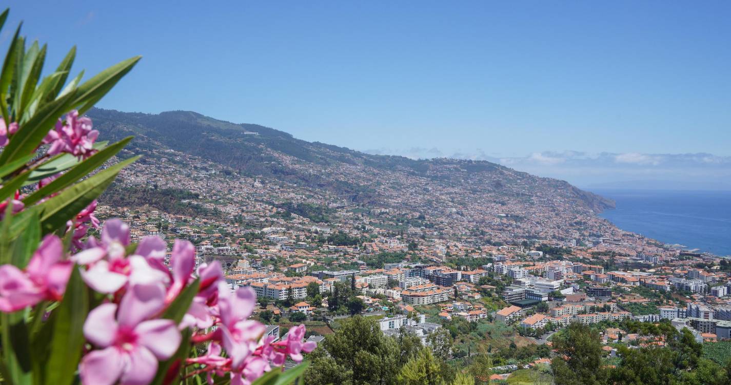 Santo António assinala amanhã o 459.º aniversário