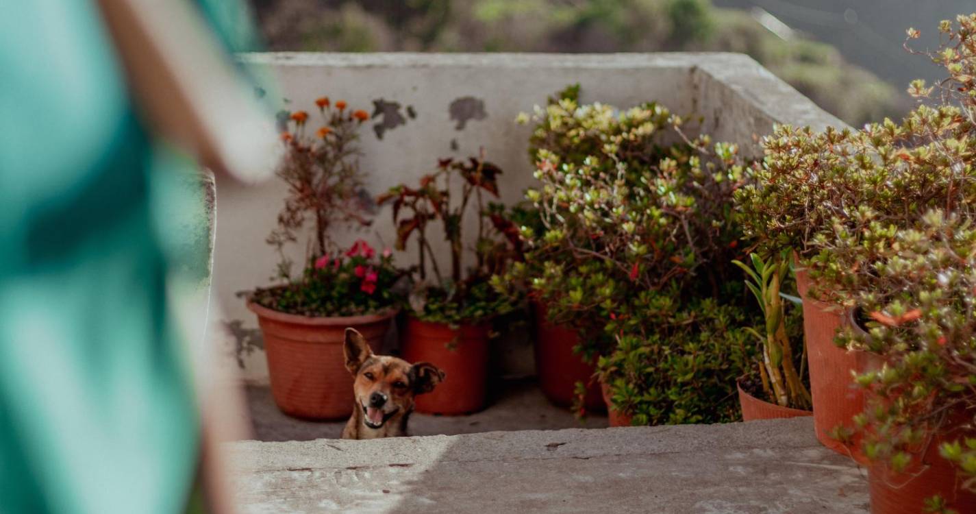 Espigão, o sítio no topo da rocha