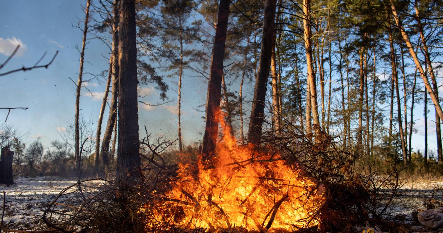 Incêndios de 2023 no Canadá contribuíram para a morte de 70.000 pessoas revela estudo