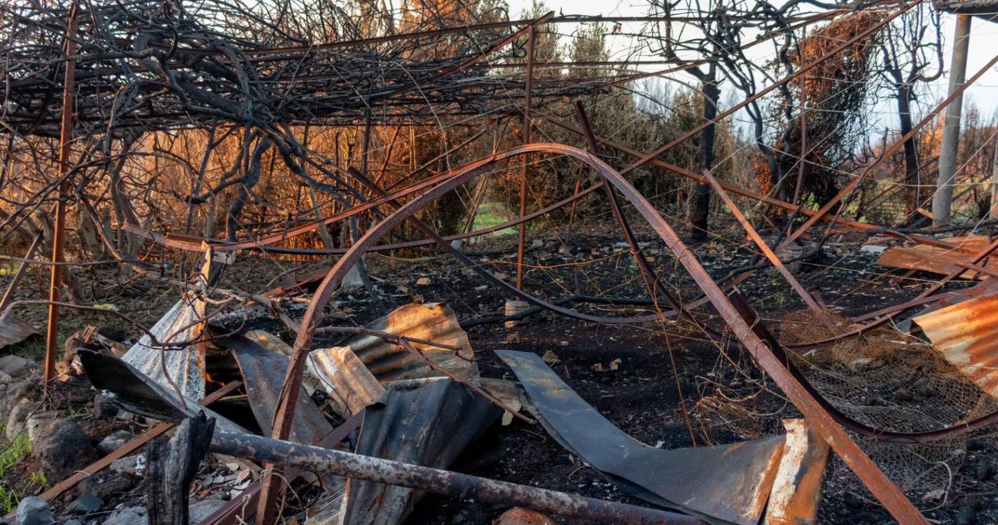 Governo destaca maior preparação do país no combate aos incêndios