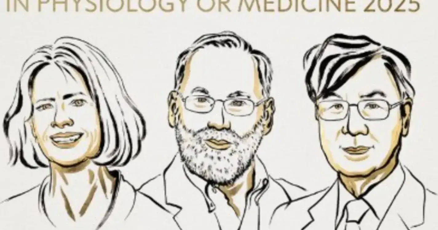 Nobel da Medicina atribuído a Mary E. Brunkow, Fred Ramsdell e Shimon Sakaguchi