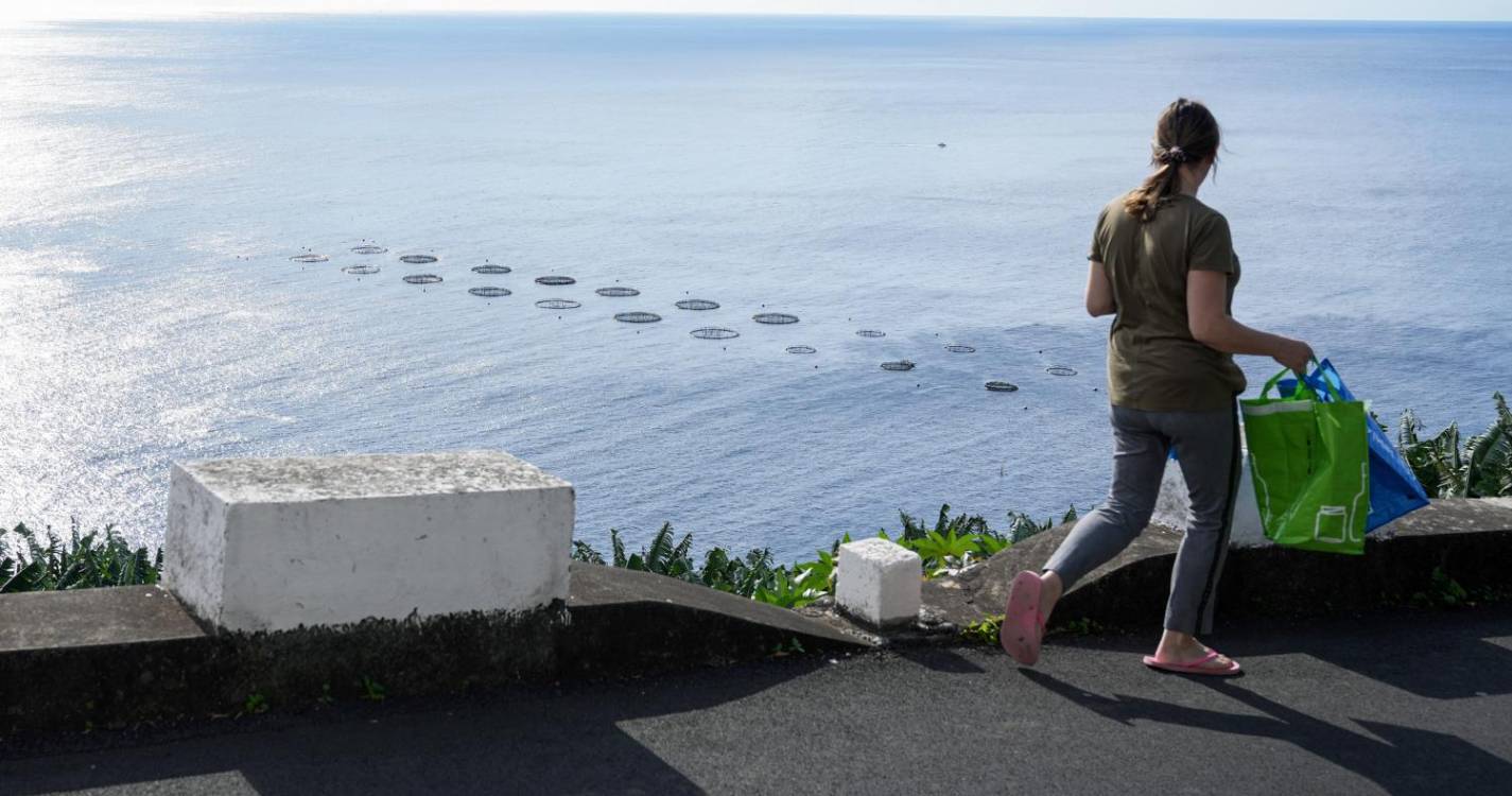 Campanário com três novos regulamentos de apoio às famílias