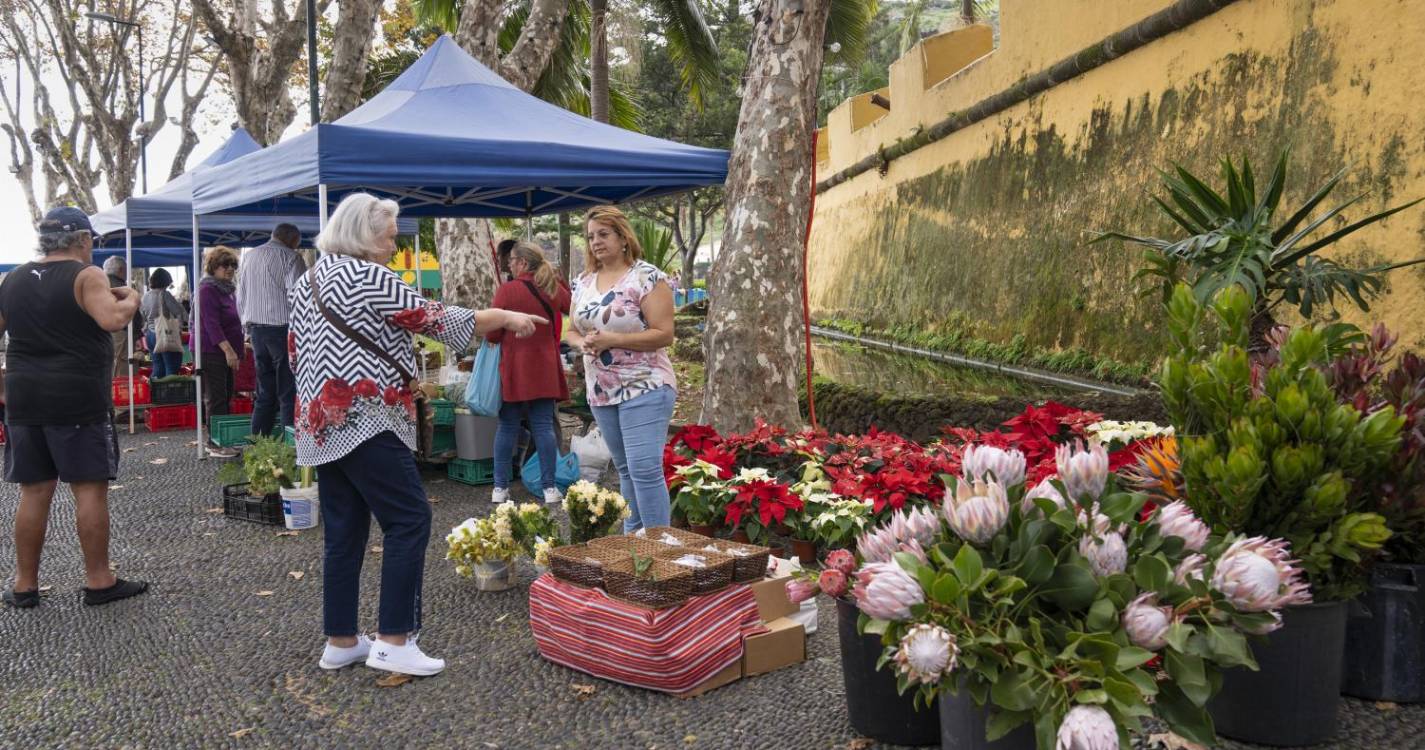 Aldeia Natal encanta de noite e de dia em Machico