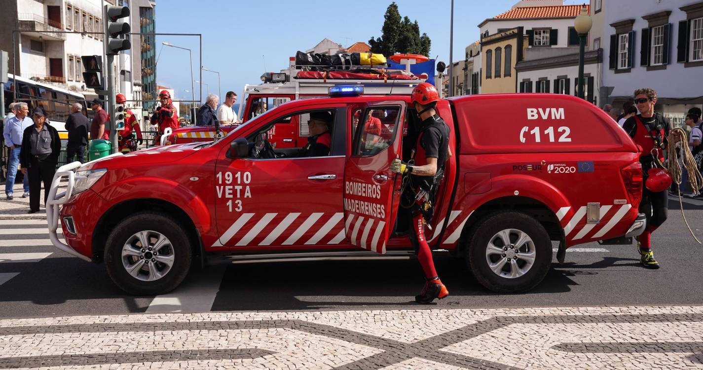 Bombeiros tentam resgatar cão na Ribeira de São João mas sem sucesso