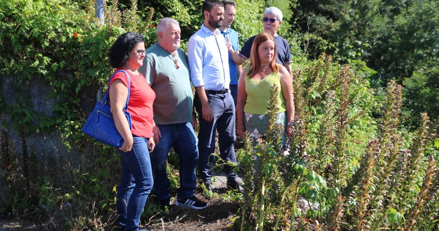 CDU critica “inércia, incapacidade e má gestão” na prevenção dos incêndios