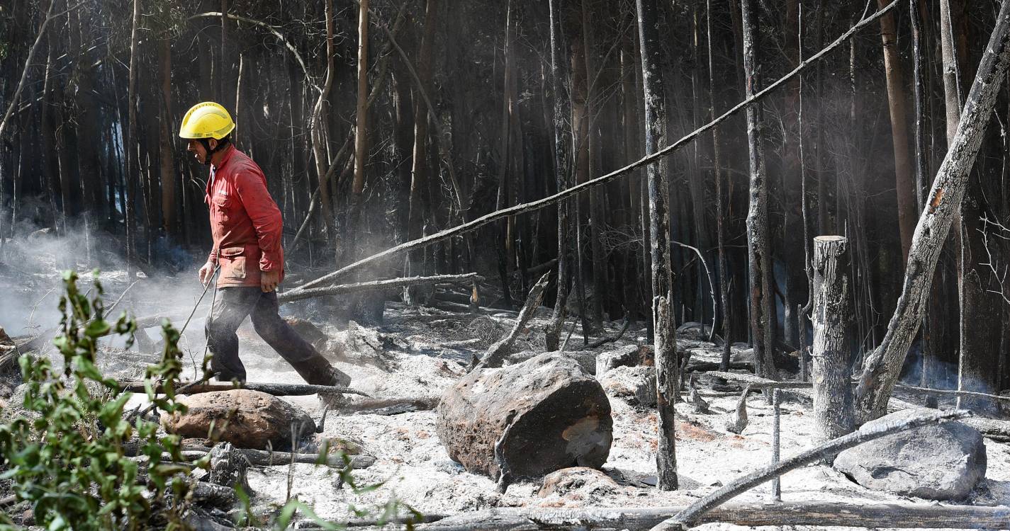 Incêndios: Mais de 60 concelhos de nove distritos em perigo máximo