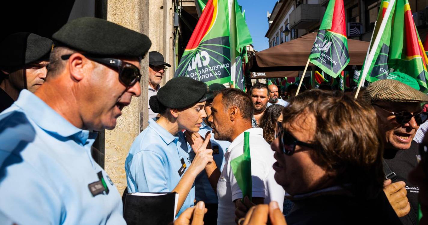 Viticultores de luto alertam para pré-catástrofe no Douro