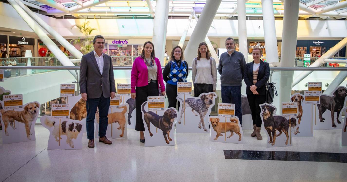 Campanha de adoção de animais do Vasco Gil arrancou hoje nos grandes centros comerciais do Funchal