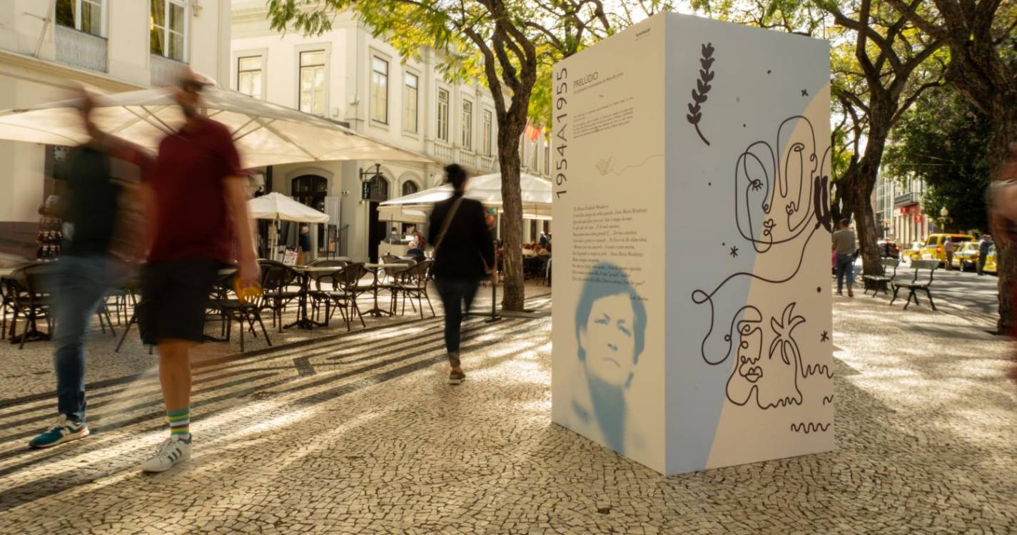 Funchal ultima preparativos para a abertura da 50.ª Feira do Livro (com fotos)