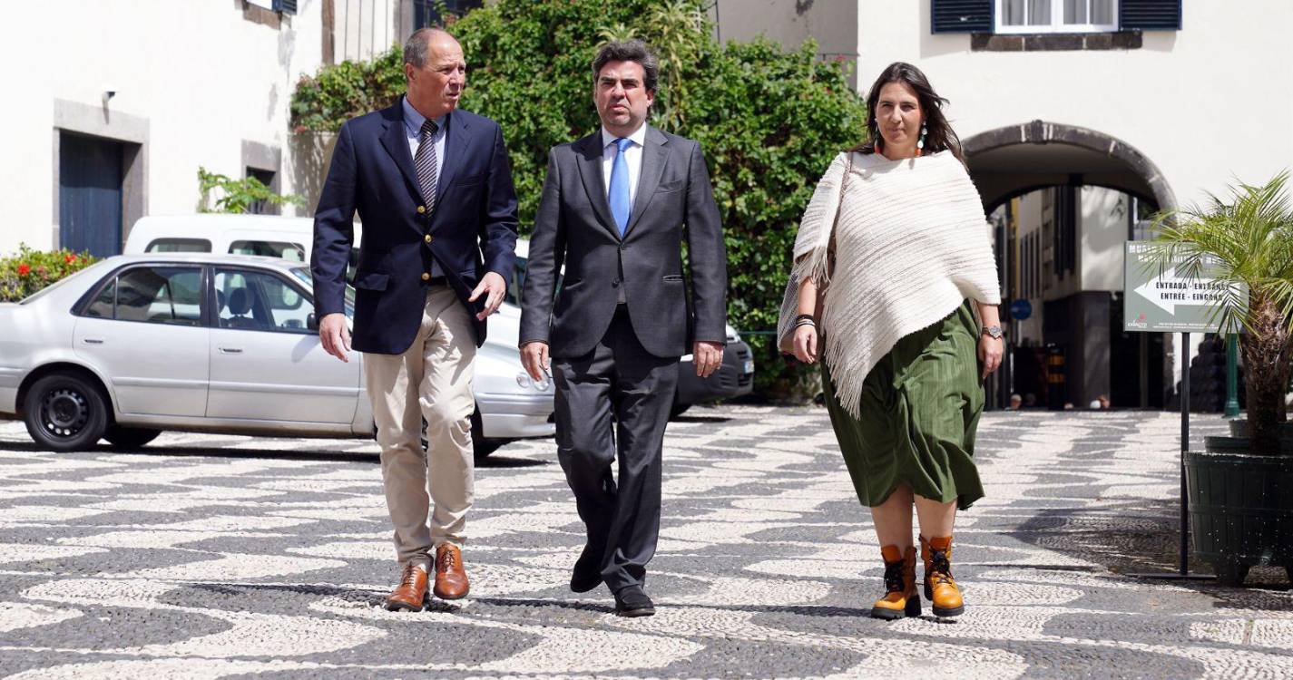 IL: “Não vão poder imputar culpas a mais ninguém”