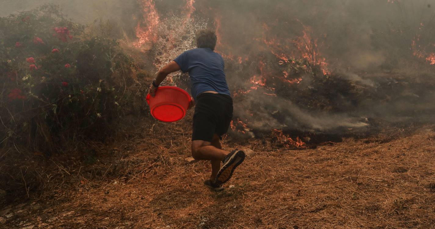 Fogo deixou rasto de destruição “muito grande” em Aguiar da Beira