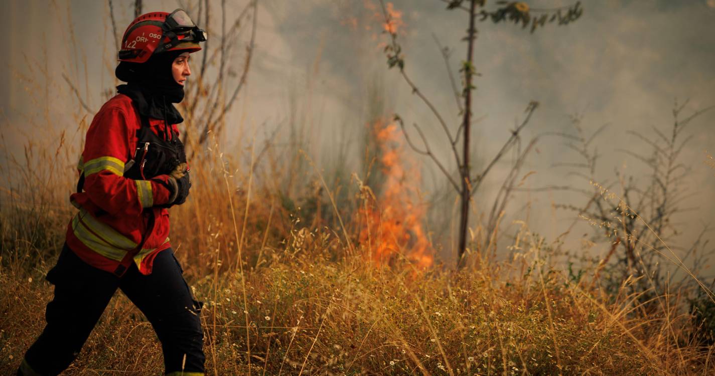Proteção Civil registou 77 ocorrências até às 17:00 envolvendo 1.697 operacionais