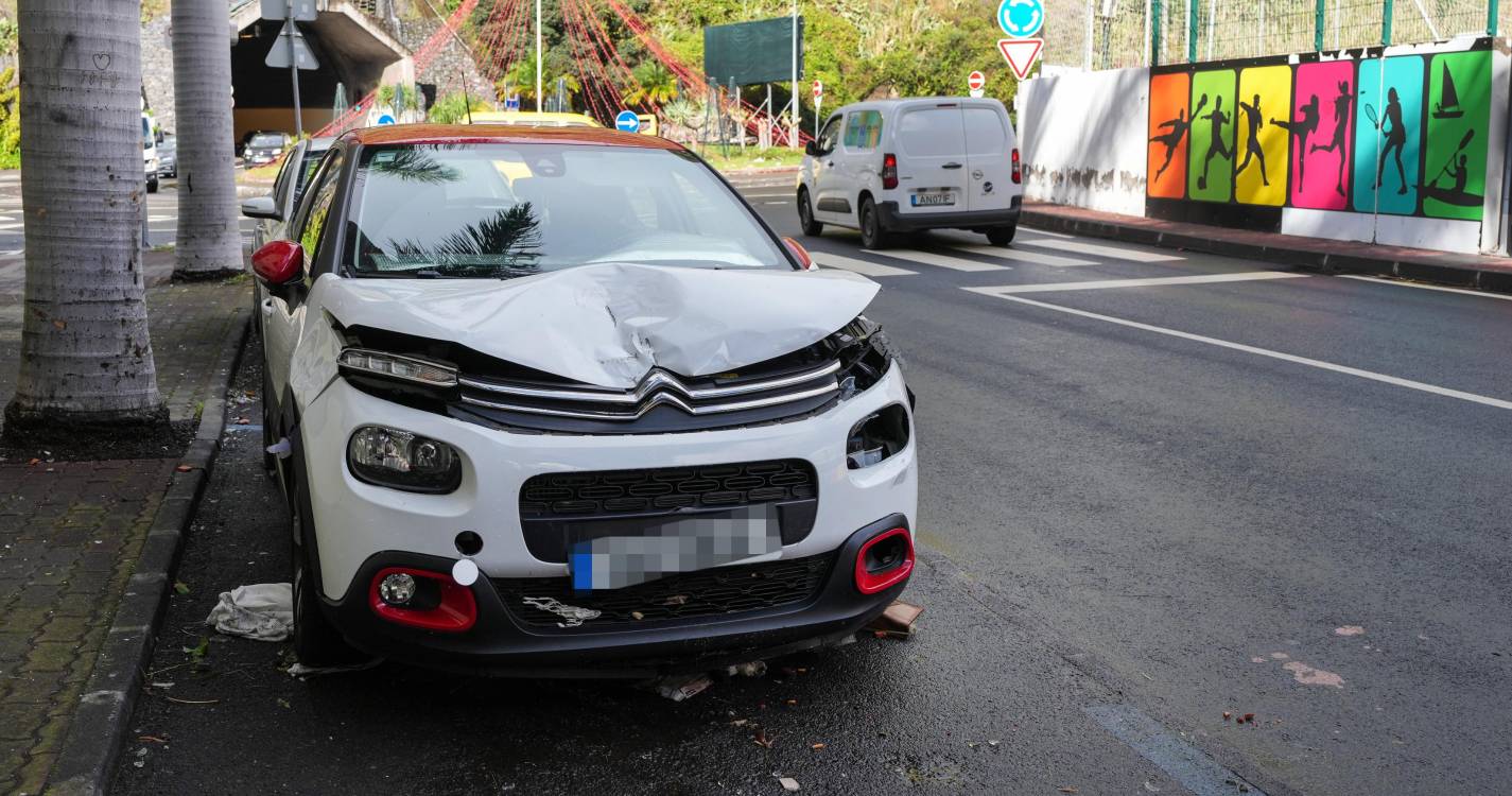 Seguradoras contabilizam 31 ME em danos provocados pela depressão Cláudia