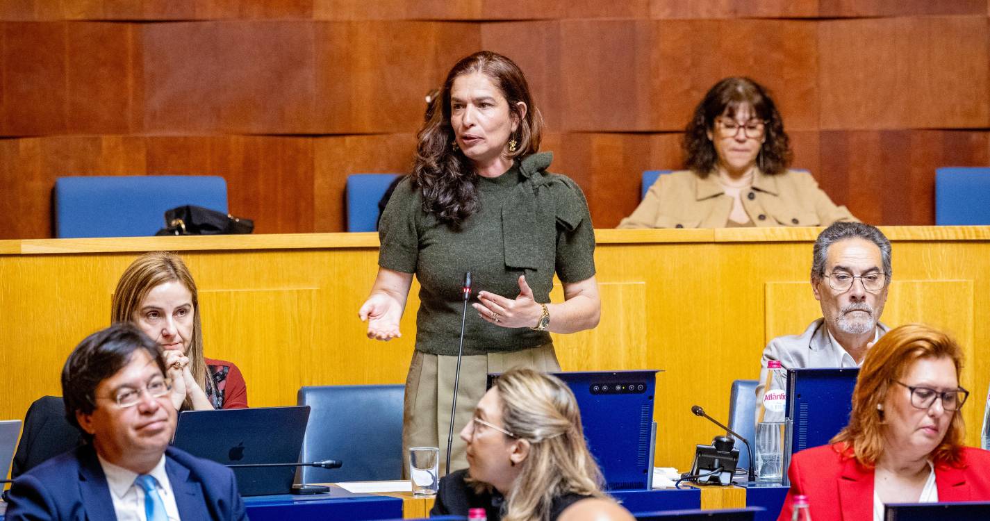 “O Governo da Madeira falha na prevenção e foge quando a Madeira está a arder”
