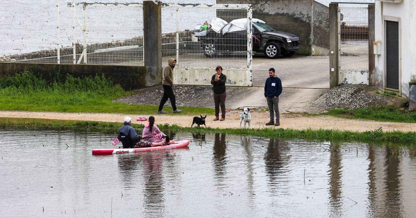 Mau tempo: Fundo da Cáritas de Leiria angariou mais de 1,3 ME