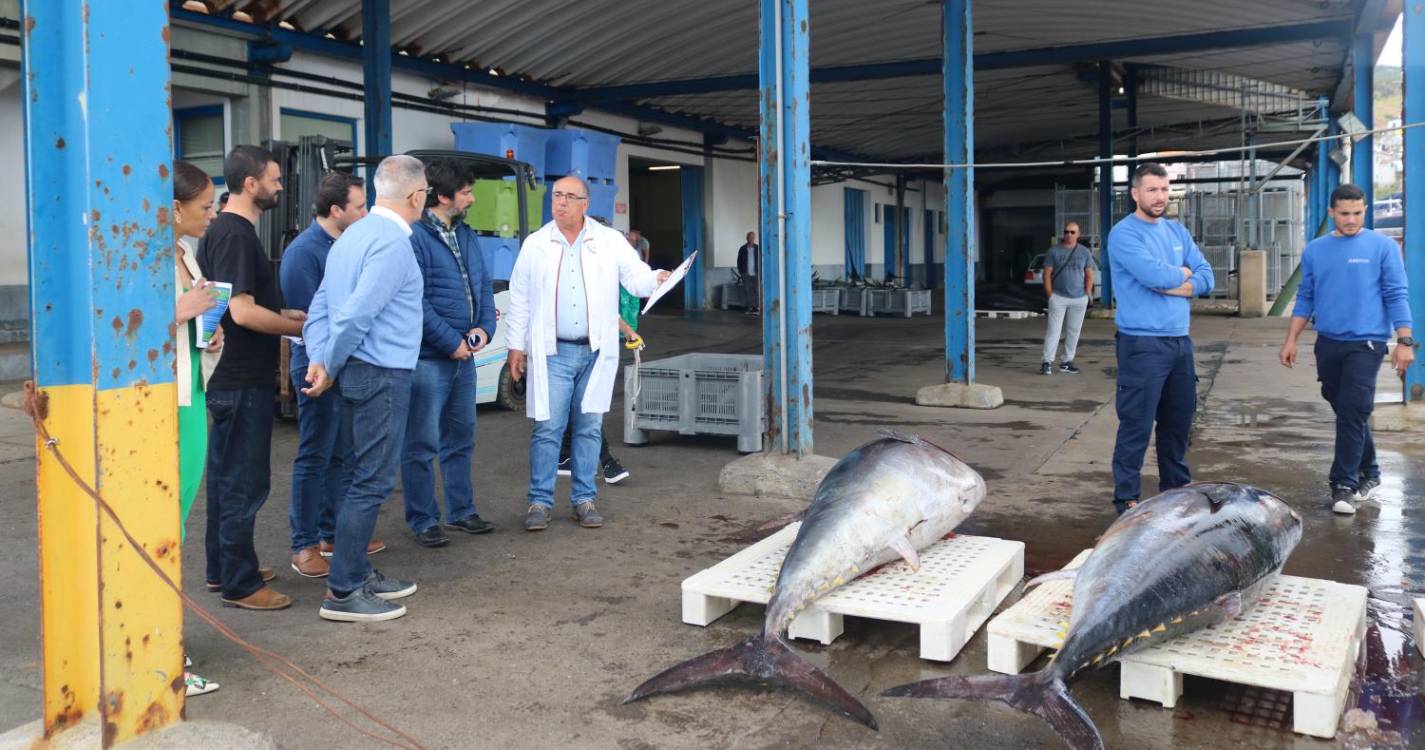 CDU defende “novo rumo” para o setor da pesca na Madeira