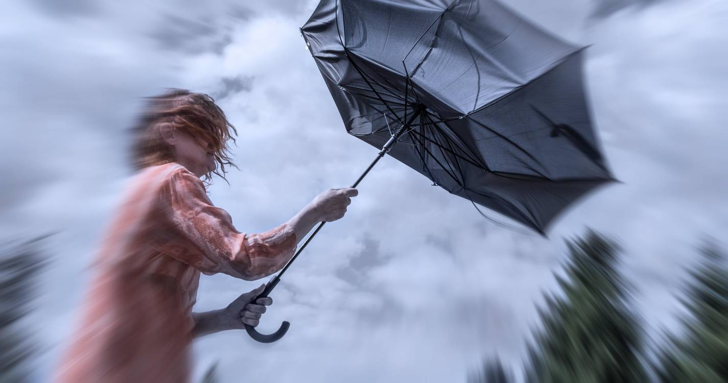 Mau tempo: Proteção civil com cerca de 100 ocorrências entre as 00:00 e as 06:30