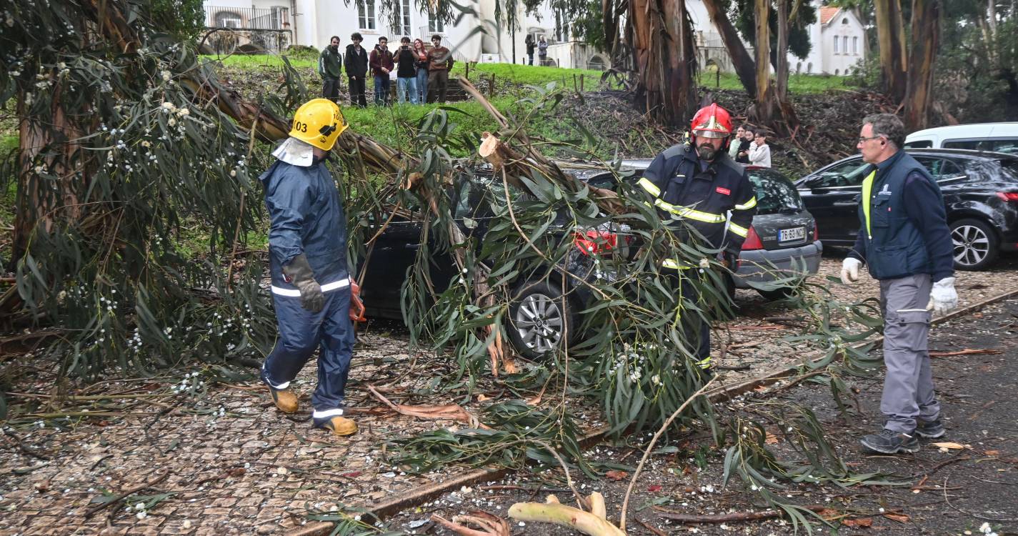 Mau Tempo: Registadas 1.874 ocorrências em Potugal continental até às 17h00