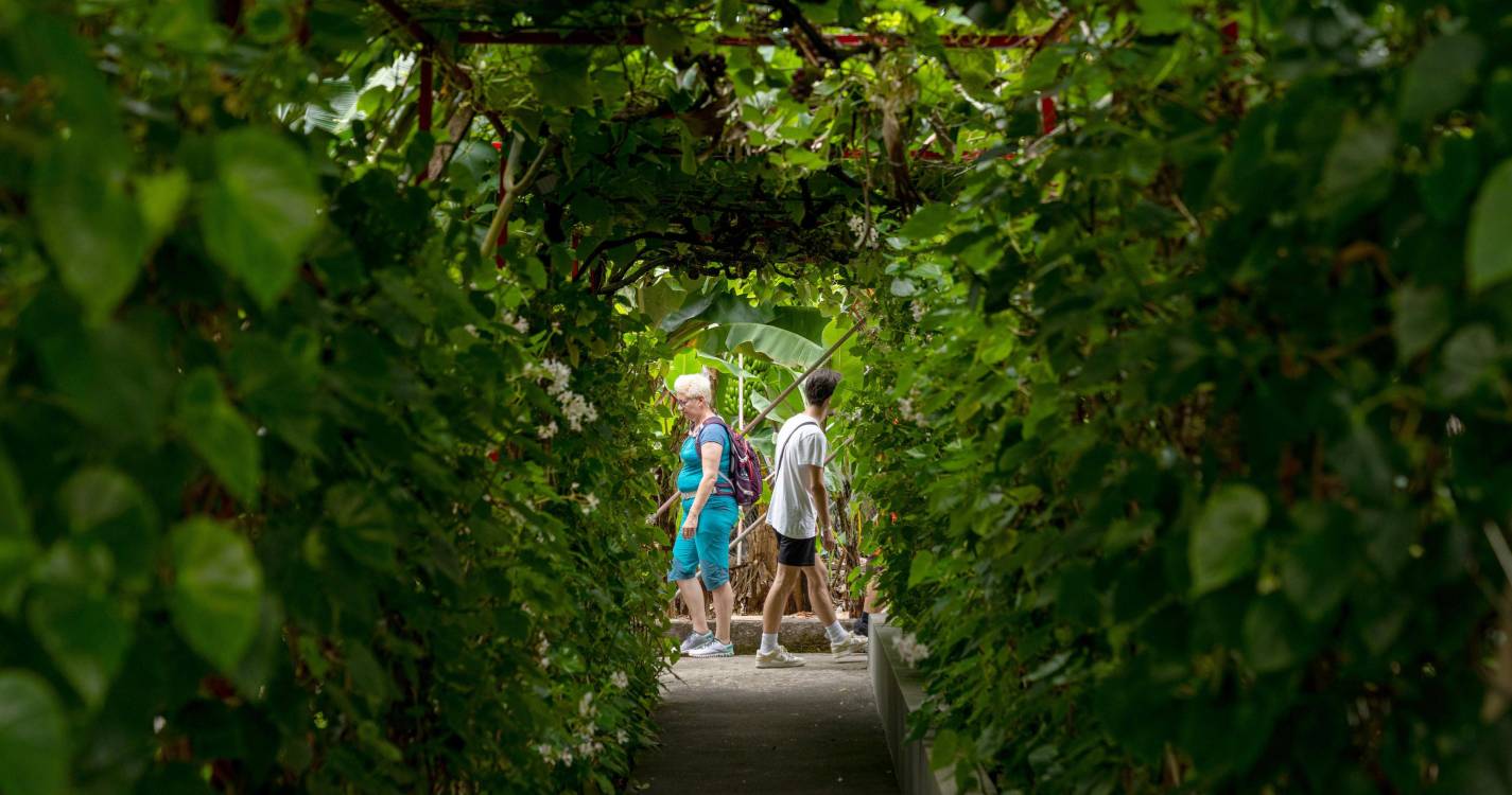 Antes e Depois: Pandemia alterou o perfil do turista na Madeira