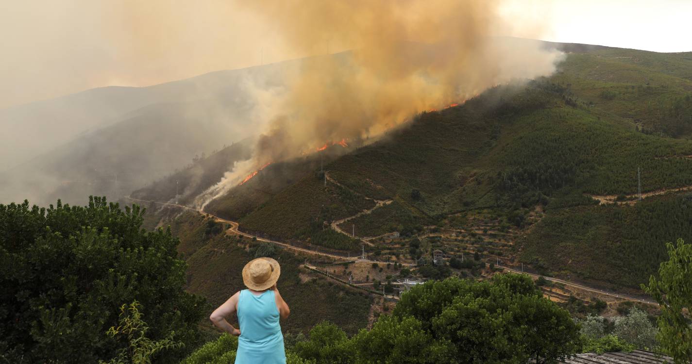 Incêndios: Mais de 120 concelhos do interior Norte e Centro e Algarve em risco máximo